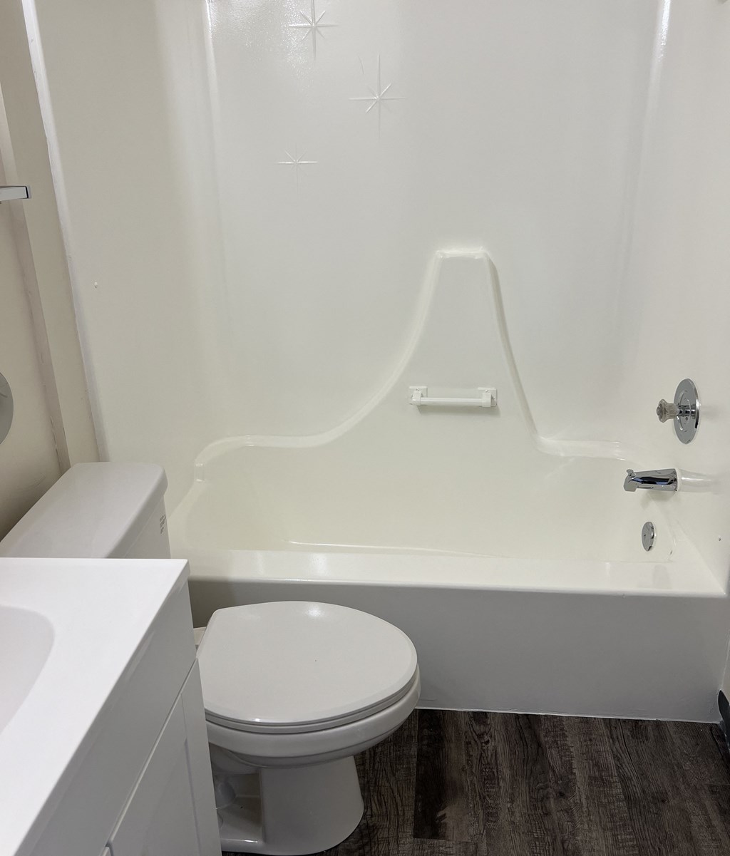 a bathroom with a toilet and a bath tub