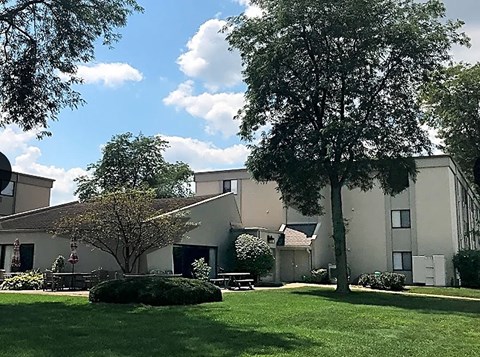 A large tree stands in front of a building.