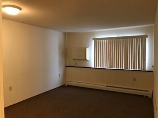 A room with a window and a radiator on the wall.