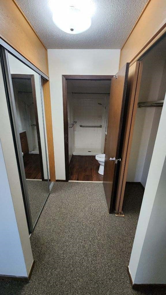 a bathroom with a toilet and a mirror