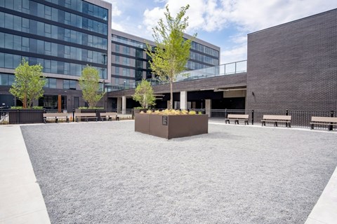 A courtyard with a tree in the middle and a building in the background.
