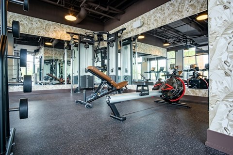 A gym with a variety of equipment including a bench press, a rowing machine, and a squat rack.