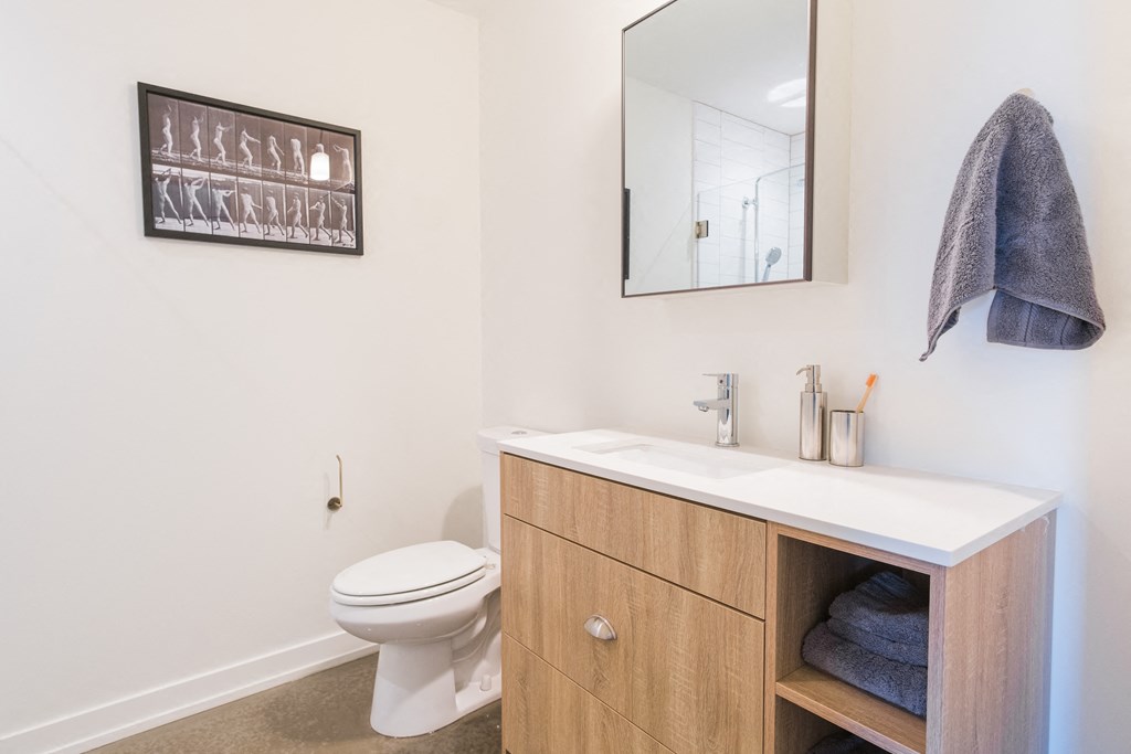 a bathroom with a sink and a toilet and a mirror