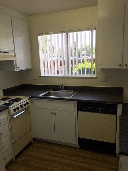 a kitchen with a sink and a stove and a window