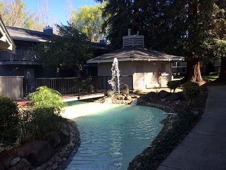 Pond