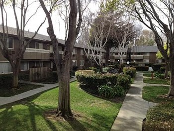 Courtyard - Photo Gallery 2