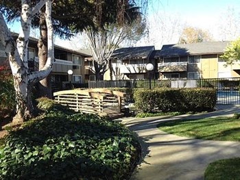 Pond Area - Photo Gallery 3