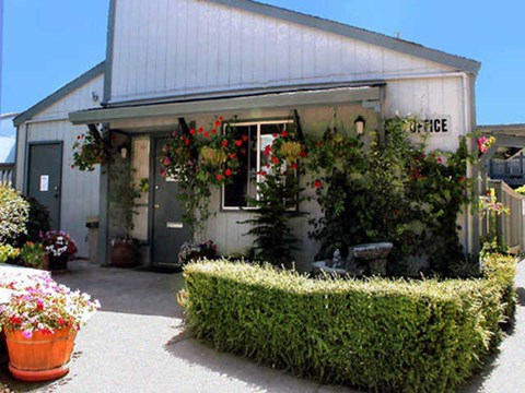 a white building with plants and flowers in front of it