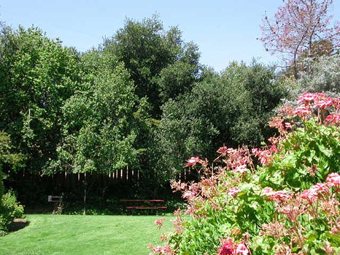 Picnic Area