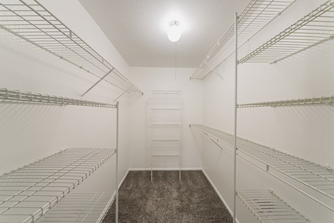 Walk-in Bedroom Closet with Built-in Shelving