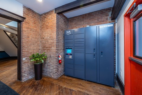 Amazon Hub Package delivery system