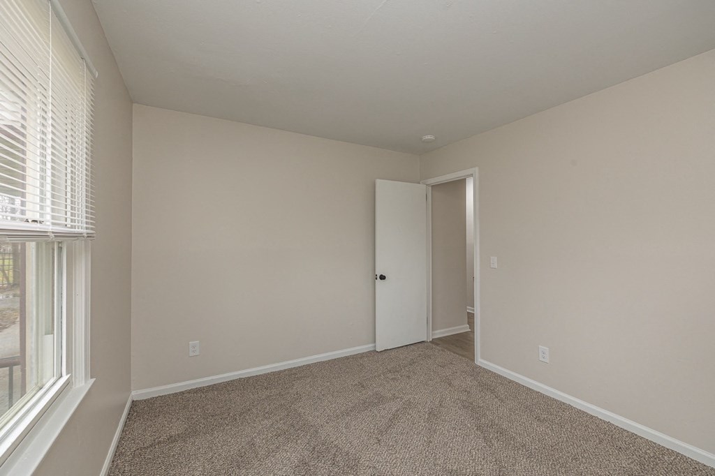 Newly carpeted downstairs bedroom.