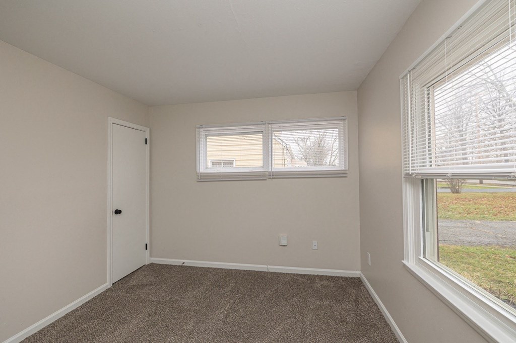 Downstairs room with a newly carpeted floor and windows.