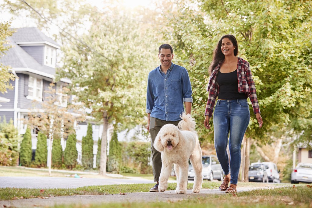 a man and woman walking their dog on a sidewalk