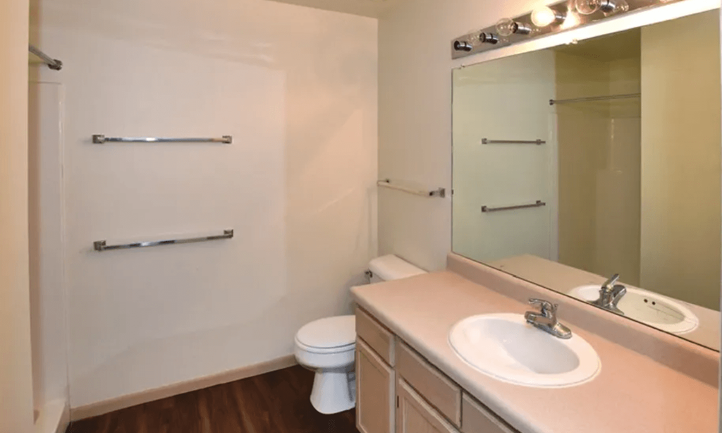 Typical Bathroom finishes