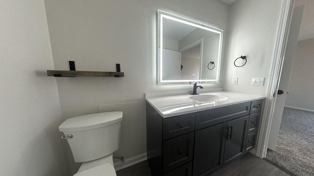 a bathroom with a toilet sink and mirror