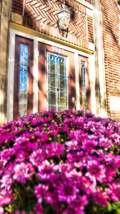 Artistic Front at Integrity Cleveland Heights  Apartments, Ohio