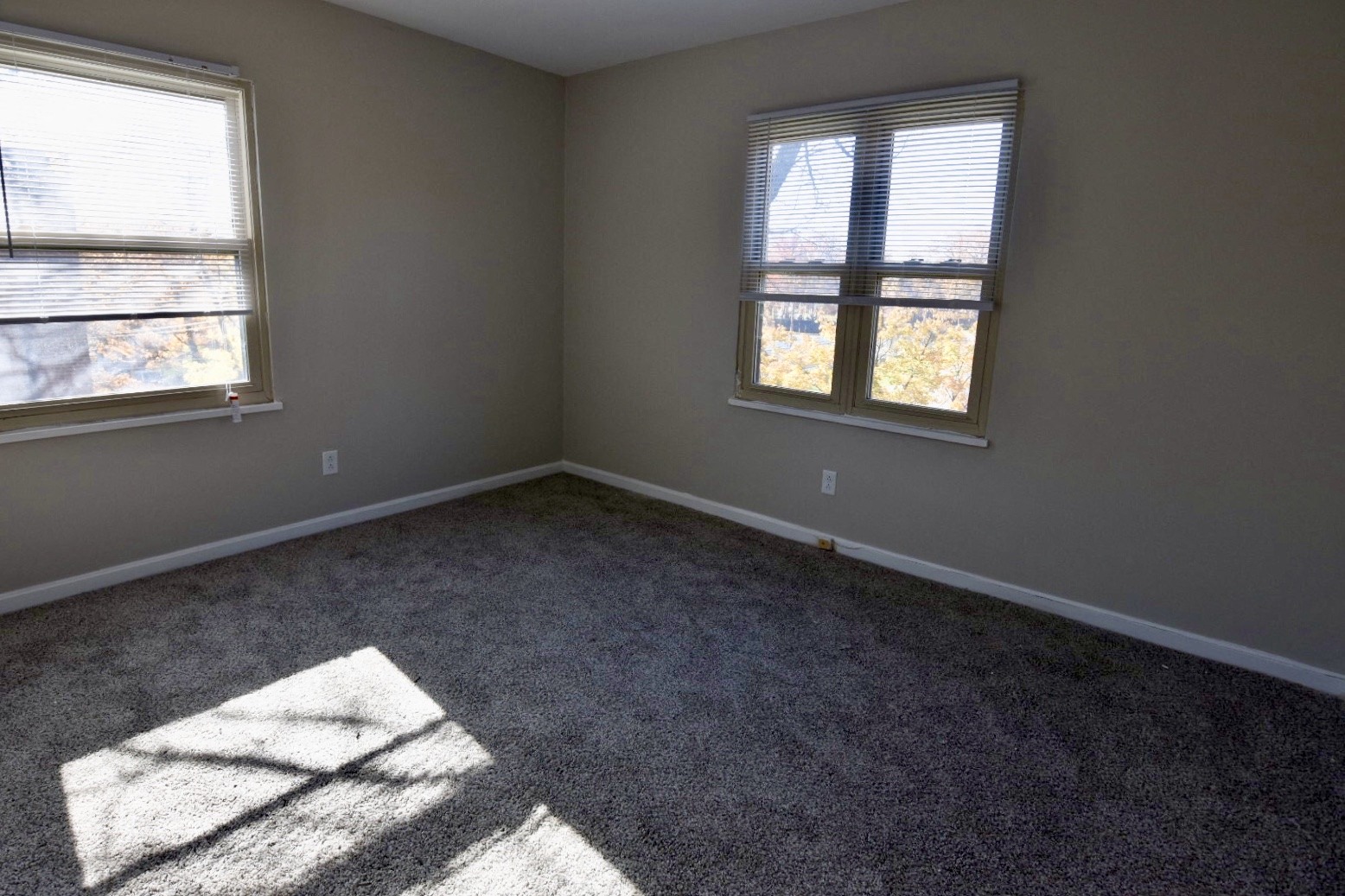 an empty room with two windows and a carpeted floor