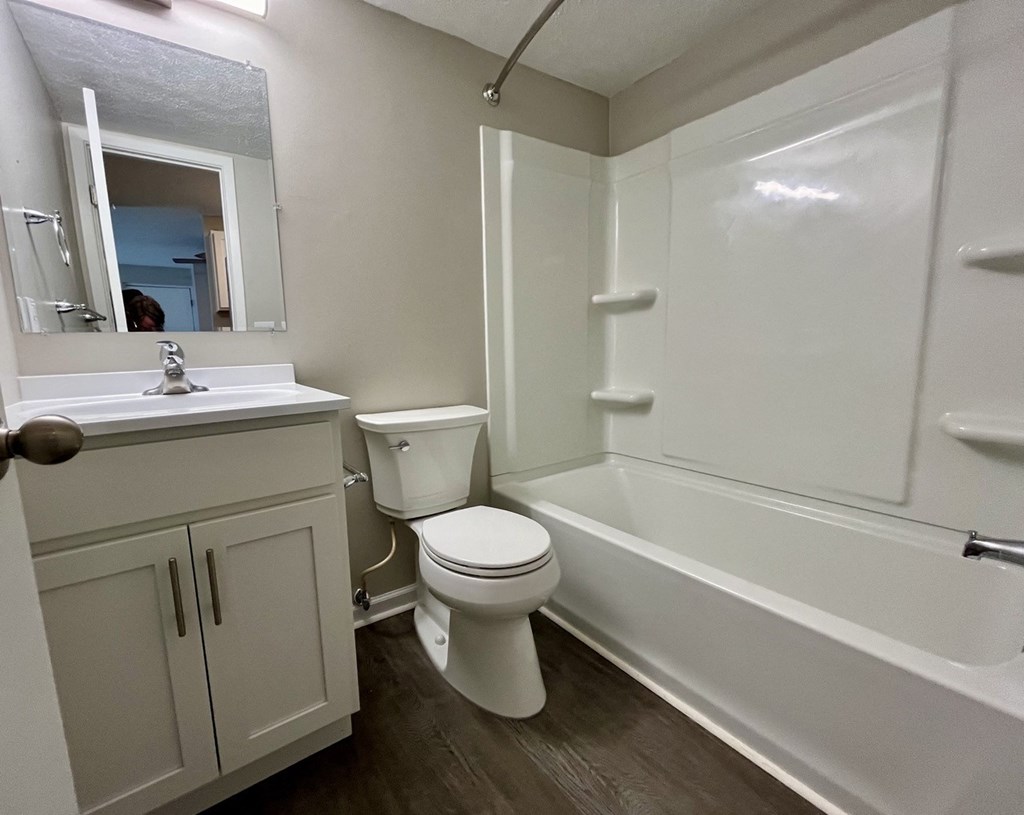 a bathroom with a toilet and a tub and a sink