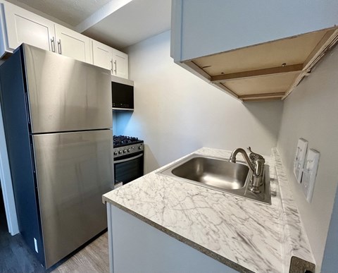 efficient renovated kitchen with stainless steel appliances