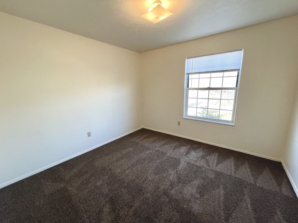 an empty living room with carpet and a window