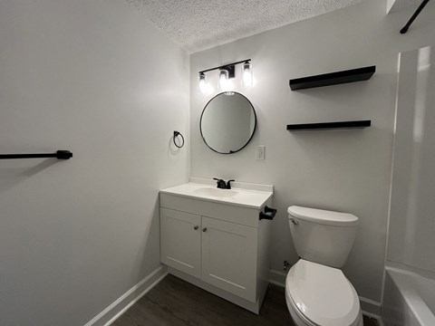 a bathroom with a toilet and a sink and a mirror