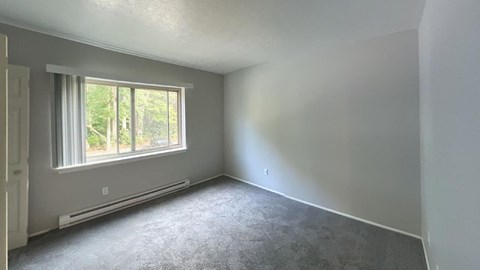 an empty bedroom with a window and carpet