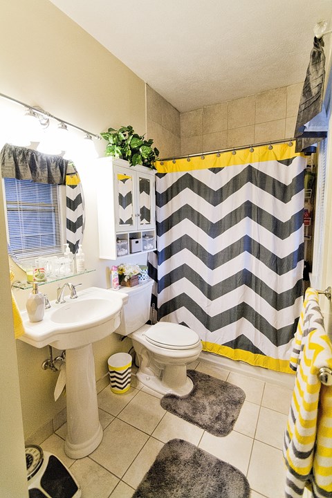 a bathroom with a black and white shower curtain and a sink