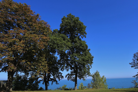 a view of the lake through the trees