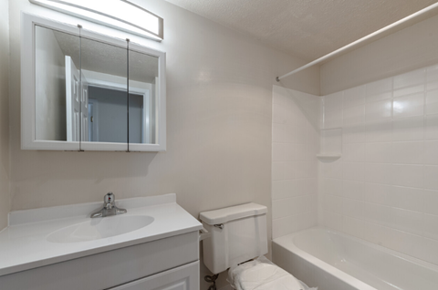 a bathroom with a sink toilet and a mirror