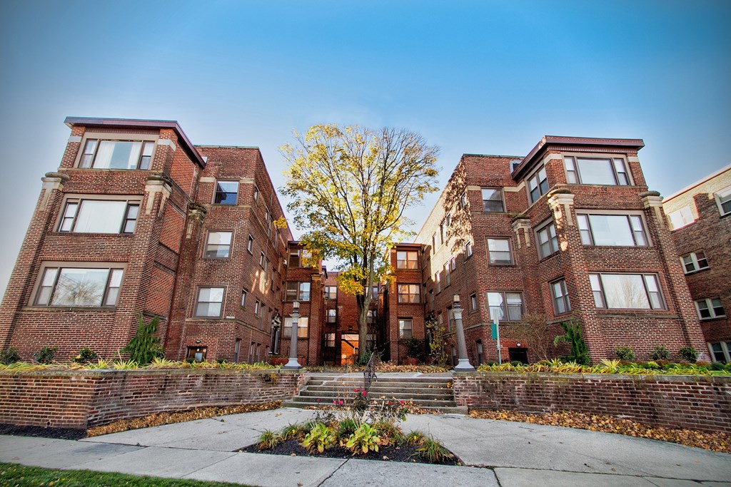 a row of brick apartment buildings with a tree in the middle