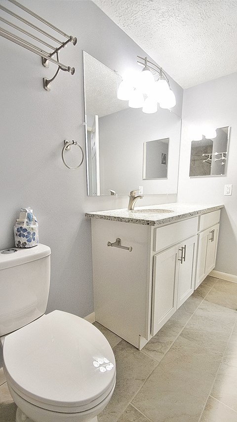a bathroom with a toilet and a sink and a mirror