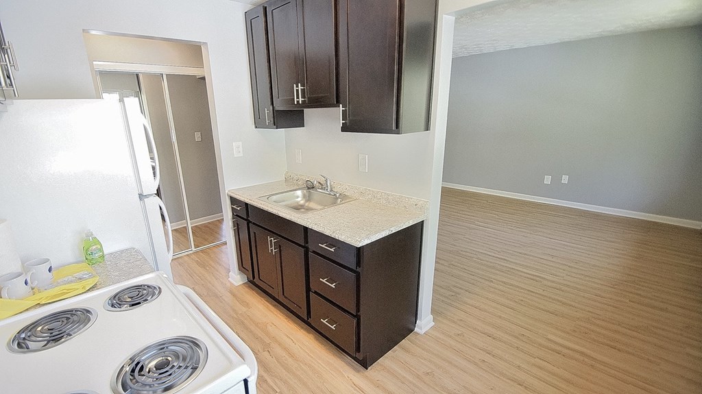 a kitchen with a stove and a sink and a refrigerator