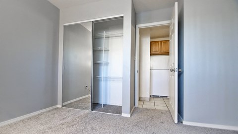 Bedroom with closet organizers
