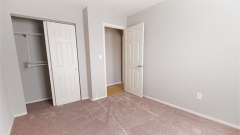 a bedroom with two closets and a door to a closet