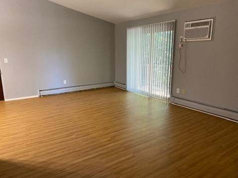 Living room with plank flooring