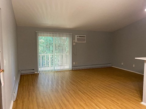 view from dining area to living