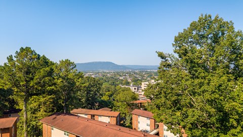 A view of a residential area with houses and trees in the foreground and a mountain in the distance.