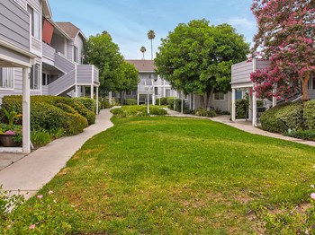 Romantic grass covered courtyard at Corbin Terrace Apartments. - Photo Gallery 22