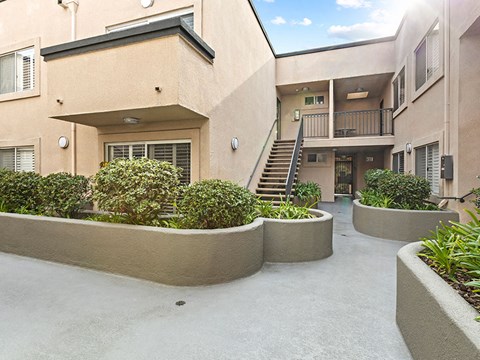 Gardened courtyard at Magnolia Terrace.