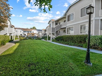 Romantic grass covered courtyard at Corbin Terrace Apartments. - Photo Gallery 23
