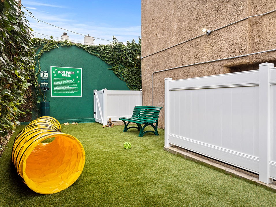 Gated on- and off-leash pet park and agility toys.