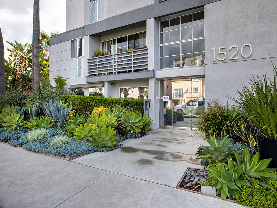 South Hayworth Lofts