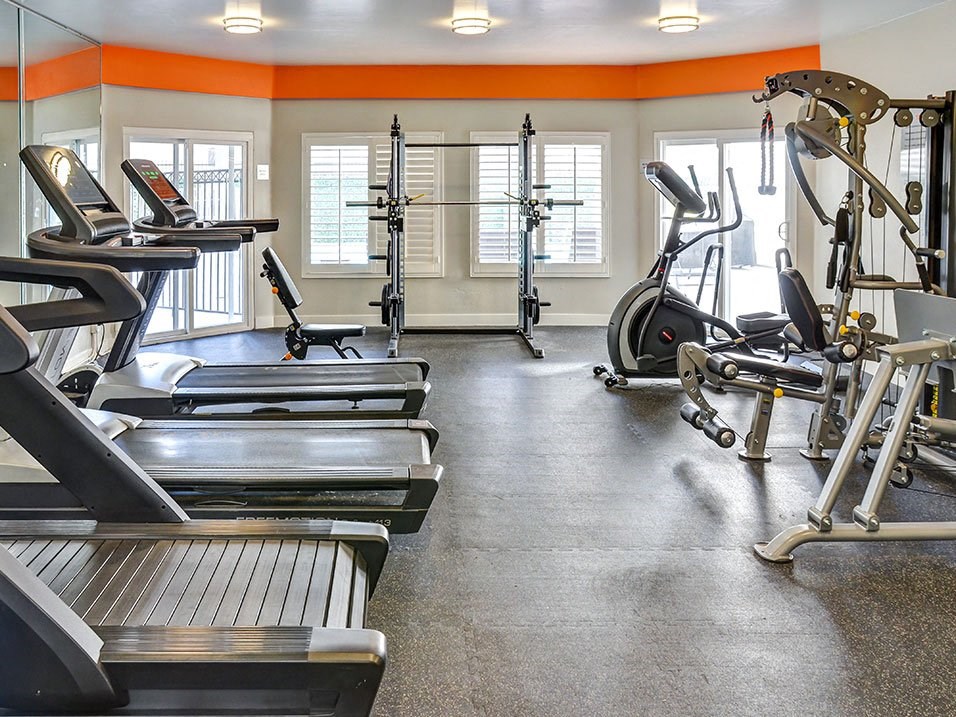 Fitness center including high efficiency treadmills and free weights.