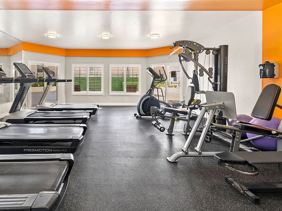 Gym complete with stationary bikes, treadmills, and weight equipment