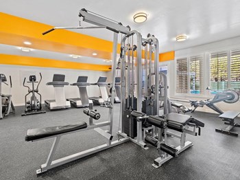 Community workout room with bikes, treadmills, and weight equipment Community workout room with bikes, treadmills, and weight equipment - Photo Gallery 4