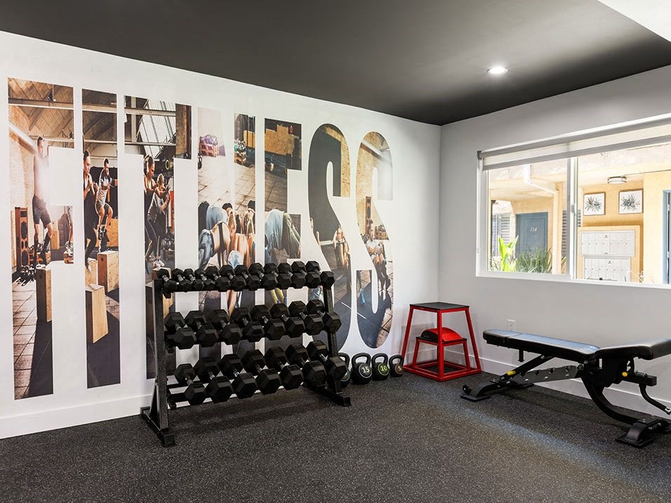 Brand-new fitness center with treadmills, machines, and free weights.