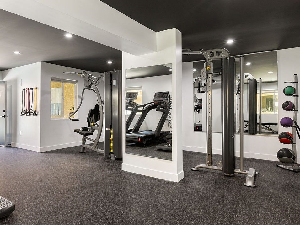 Brand-new fitness center with treadmills, machines, and free weights.