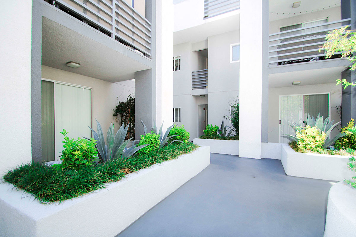 South Hayworth Lofts