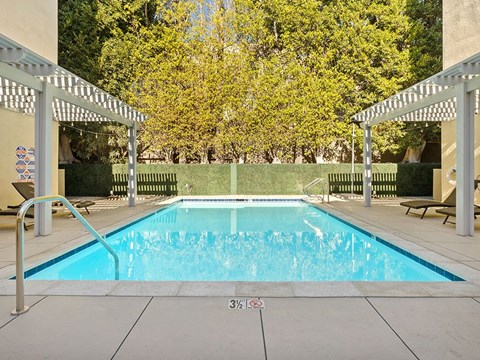 Courtyard pool at Palms Court Apartments